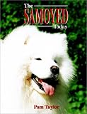 The Samoyed Today