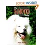 The Samoyed Today