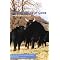 Nourishing, Politically Incorrect and Ethical Eating Books