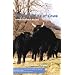 The Secret Life of Cows