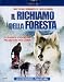 Il Richiamo Della Foresta