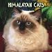 Search : Himalayan Cats 2007 Calendar