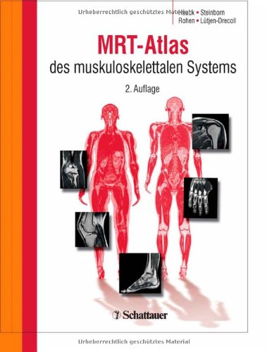 MRT-Atlas des muskuloskelettalen Systems 3794524195 pdf