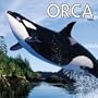 Orca: 2003