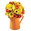 Todd Oldham Pitcher of Cheer