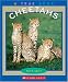 Books : Cheetahs (True Books)