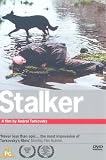 Revue Artificial Eye  / Stalker