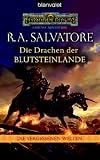 Die Drachen der Blutsteinlande - Die Vergessenen Welten 16 - R.A. Salvatore