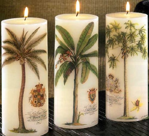 Tropical Safari Palm Tree Pillar - 3d x 7h (Coconut Tree)