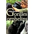 Gorilles orphelins