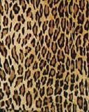 California King | Print Sheet Set | 200 Thread Count