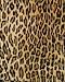 California King | Print Sheet Set | 200 Thread Count