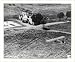 Historic Print (S): A cub plane hedgehopping on a routine flight - 5th Army II Corps Air O.P. Italy