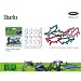 Animal Planet Shark Logo Bandz Bracelets