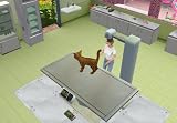 Pet Vet 3D: Animal Hospital -- Triple Treat (PC Games)