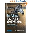 Produkt-Information 