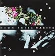 Habits by Neon Trees (2010-03-16)【並行輸入品】