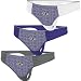 Nfl Baltimore Ravens Women's Mystic Memory Thong - Set Of 3 Size: Large
