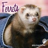 Ferrets 2012