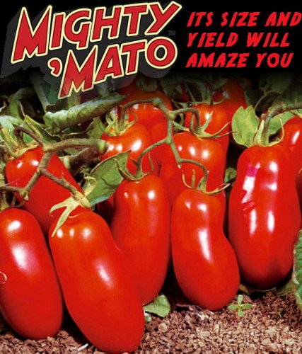 Mighty 'Mato Grafted San Marzano Tomato Plant - Easy to Grow/More Fruit