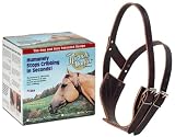 30-1261 MIRACLE COLLAR LG RU 