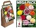 Dahlia Decorative Mixed Colours Big Buy Pack (Pack of 4)