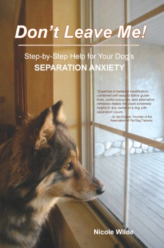 anxiety in dogs