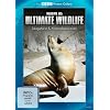 BBC Motion Gallery: Ultimate Wildlife Vol. 5: S�ugetiere & Meereslebewesen