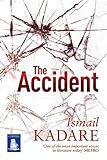 The accident : a novel