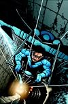 Nightwing: The Great Leap (Nightwing (Graphic Novels))