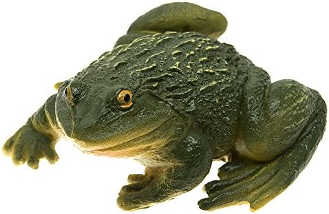 VASL Hand-painted Garden Ornament Collectable Life-like Frog Sculpture