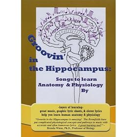 Groovin' in the Hippocampus