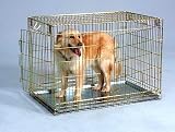Pet Product 205-2D Dog Crate - Gold 2 Door - Medium