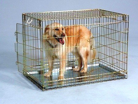 Dog Crate – Gold 2 Door/Large
