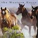 The Western Horse