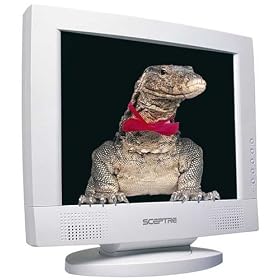 Sceptre PT17AW 17" LCD Monitor