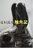 触角記 (文春文庫)