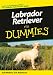 Labrador-Retriever Fur Dummies (F�r Dummies)
