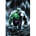 Incredible Hulk: Tempest Fugit by  Peter David and Lee Weeks