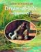 Books : Dream-of-Jade: The Emperor's Cat