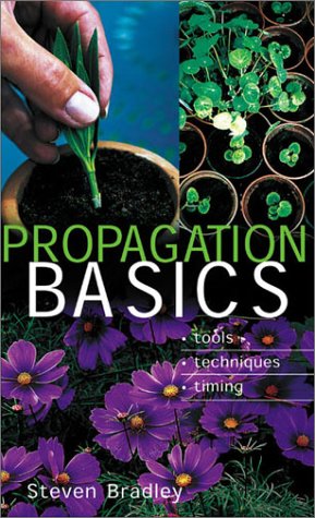 propagation basics tools  techniques  timing