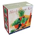 Buzzy Herb Grow Kit With Stand