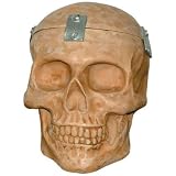 Skull - Stash Box - Secret Storage