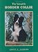 The Versatile Border Collie