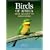 Birds of Africa: From Seabirds to Seed-Eaters
