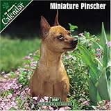 Miniature Pinscher 2007 Wall Calendar