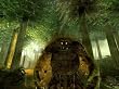 Fable: The Lost Chapters