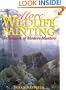 More Wildlife Painting: Techniques of Modern Masters (Practical Art Books)