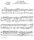 Bach J.S. Capriccio in B flat Major 