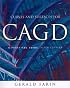 Curves and Surfaces for CAGD: A Practical Guide (The Morgan Kaufmann Series in Computer Graphics)